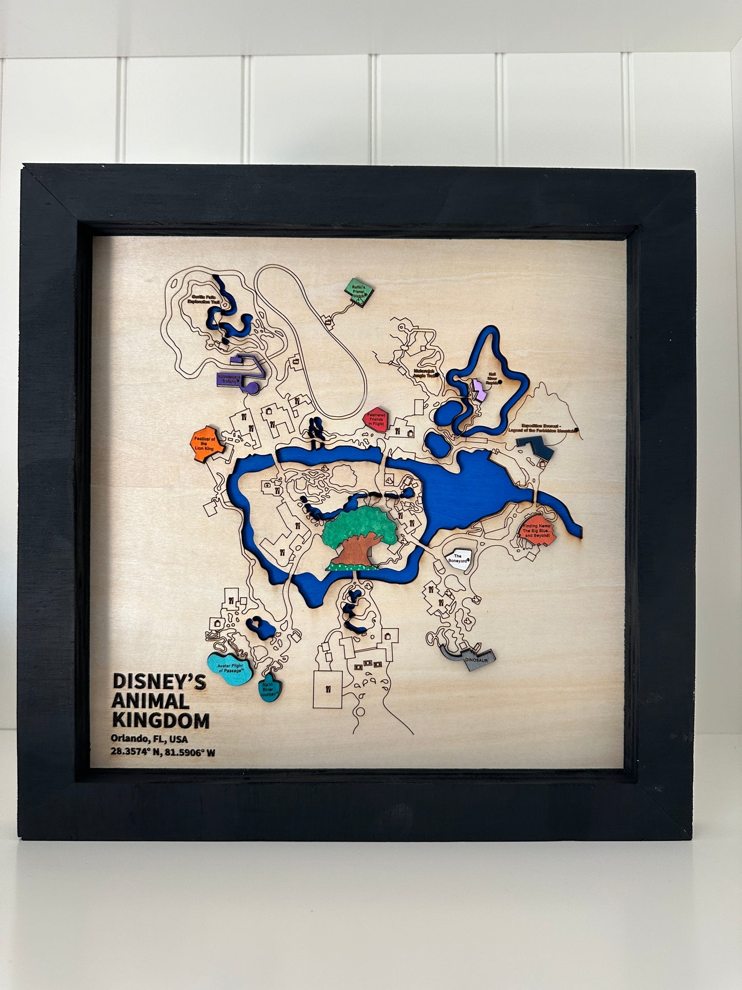 3-D Wall Map w/ Color ~ Inspired by Disney's Animial Kingdom*